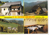 AK Wald am Schoberpaß. Liesing 18. Alpengasthof J.F. Jansenberger.