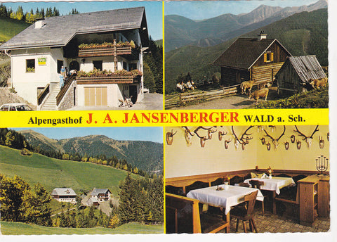 AK Wald am Schoberpaß. Liesing 18. Alpengasthof J.F. Jansenberger.