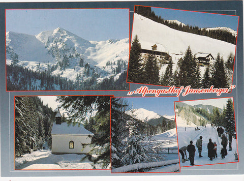 AK Wald am Schoberpaß. Liesing 18. Alpengasthof J.A. Jansenberger vlg. Beisteiner.