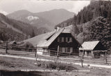 AK Wald am Schoberpass. In der Liesing.