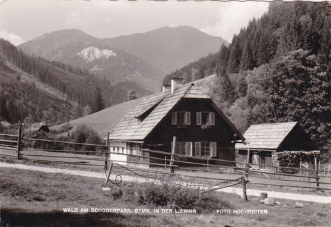AK Wald am Schoberpass. In der Liesing.