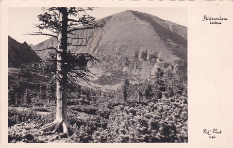 AK Feistererhorn.