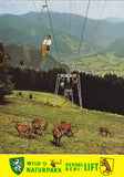 AK Wild- und Naturpark Mautern Sesselschilift.