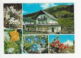 AK Präbichl. Gasthof Alpenrose. Herbert u. Hemma Begusch.