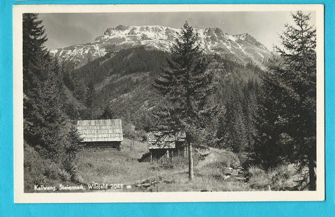 AK Kalwang. Wildfeld.