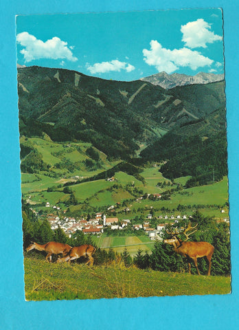 AK Wild- und Naturpark Mautern.