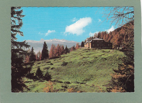 AK Tauplitzalm Hollhaus mit Dachstein.