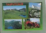 AK Tauplitzalm. Gelaufen. Großformat.