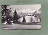 AK Tauplitzalm. Th. K. Hollhaus geg. Dachstein.