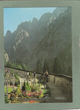 AK Johnsbach. Gesäuse. Bergsteigerfriedhof gegen Ödsteinausläufer.