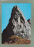 AK Sturzhahn auf der Tauplitzalm.