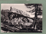 AK Sturzhahn auf der Tauplitzalm.