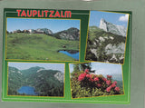 AK Tauplitzam.
