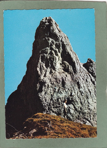 AK Sturzhahn auf der Tauplitzalm.