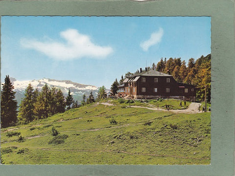 AK Th. K. Hollhaus von der Tauplitzalpe mit Blick auf das Dachsteinmassiv.