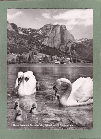 AK Grundlsee mit Backenstein, Schwäne mit Jungen.