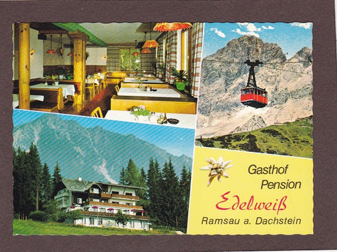 AK Ramsau am Dachstein. Gasthof Pension Edelweiß. Bes. A. Putz.