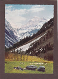 AK Hochgolling. Hauptgipfel der Niederen Tauern vom Steinriesental aus gesehen.