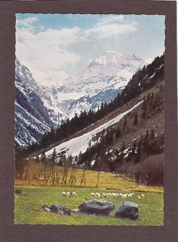 AK Hochgolling. Hauptgipfel der Niederen Tauern vom Steinriesental aus gesehen.
