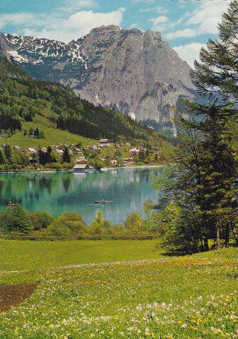AK Narzissenblüte am Grundlsee.