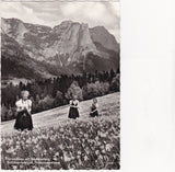AK Grundlsee mit Backenstein. Narzissenwiese.