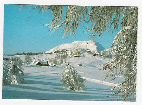 AK Tauplitzalm mit Lawinenstein.