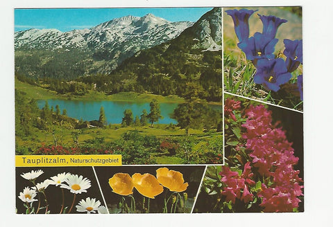 AK Tauplitzalm, Naturschutzgebiet.