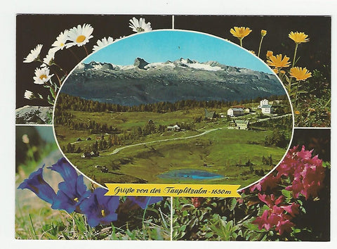 AK Grüße von der Tauplitzalm.