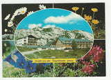 AK Grüße von der Tauplitzalm. Haus Alpenrose und Sporthotel Kirchenwirt.