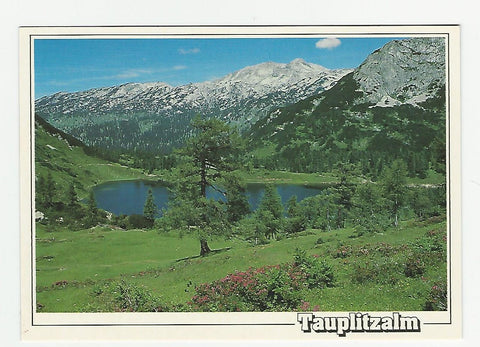 AK Tauplitzalm. (1991)