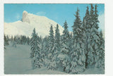 AK Schigebiet Tauplitzalm. Sturzhahn.