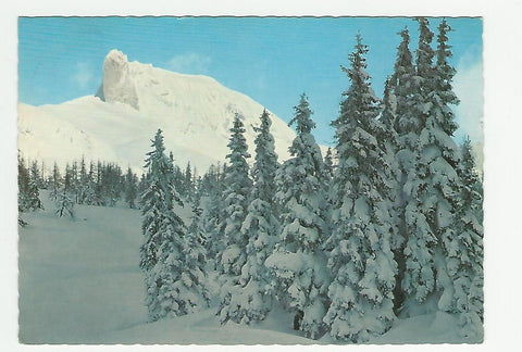 AK Schigebiet Tauplitzalm. Sturzhahn.
