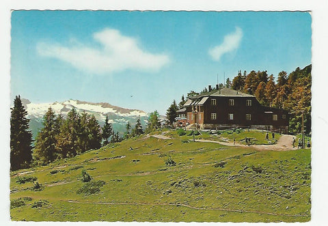 AK Th. K. Hollhaus von der Tauplitzalpe mit Blick auf das Dachsteinmassiv.