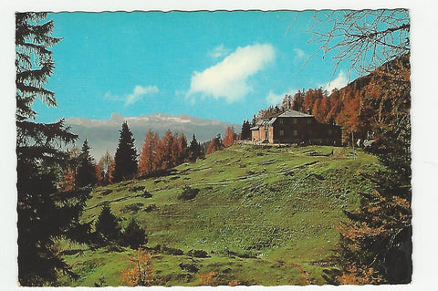 AK Tauplitzalm Hollhaus mit Dachstein.