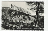 AK Sturzhahn auf der Tauplitz.