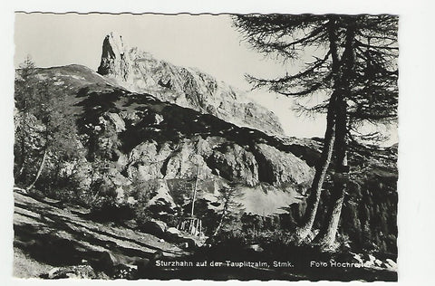 AK Sturzhahn auf der Tauplitz.
