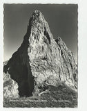 AK Sturzhahn auf der Tauplitzalm.