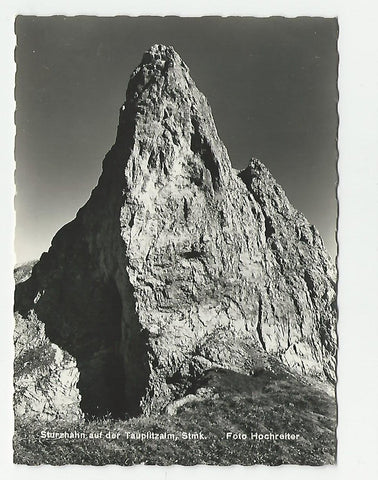 AK Sturzhahn auf der Tauplitzalm.