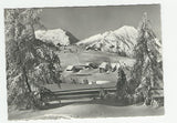 AK Schigebiet Tauplitzalm mit Schneiderkogel und Lawinenstein. (1962)