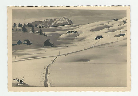 AK Tauplitzalm. Hollhaus.