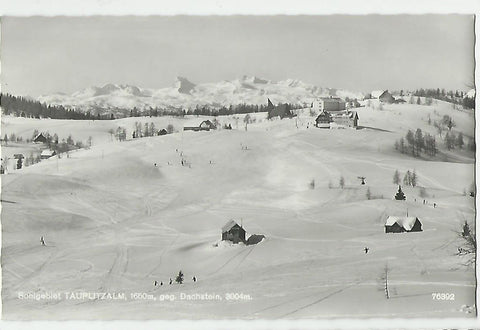 AK Schigebiet Tauplitzalm gegen Dachstein (1964)