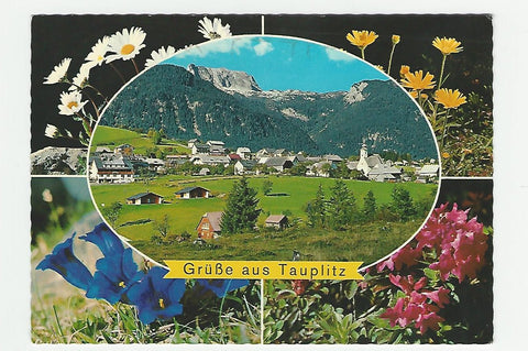 AK Grüße aus Tauplitz.