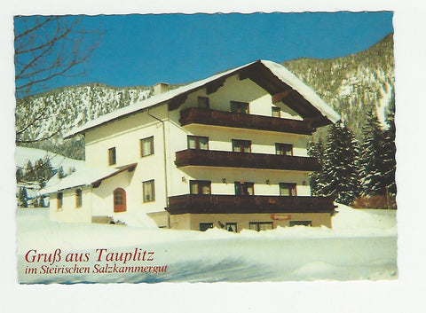 AK Gruß aus Tauplitz. Pension Kohlmayr. Tauplitz 158.