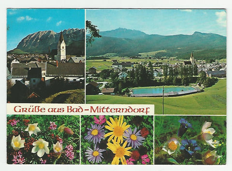 AK Grüße aus Bad Mitterndorf.