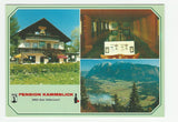 AK Bad Mitterndorf. Pension Kammblick. Inh. Günther Falkensteiner.