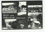AK Gruß aus Mitterndorf.