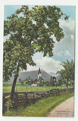 AK Salzkammergut. Mitterndorf. (1921)