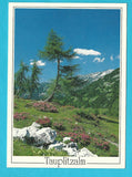 AK Tauplitzalm.
