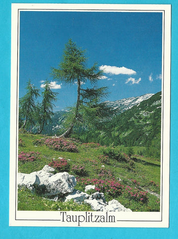 AK Tauplitzalm.