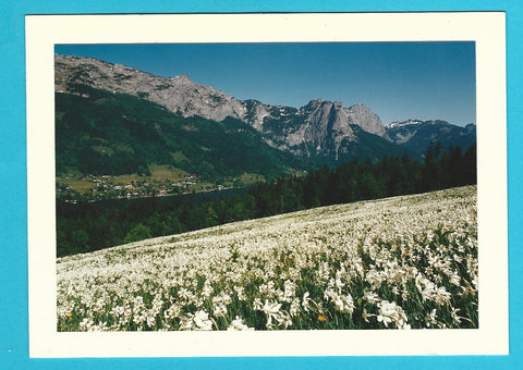 AK Im Ausseer Land. Steirisches Salzkammergut.